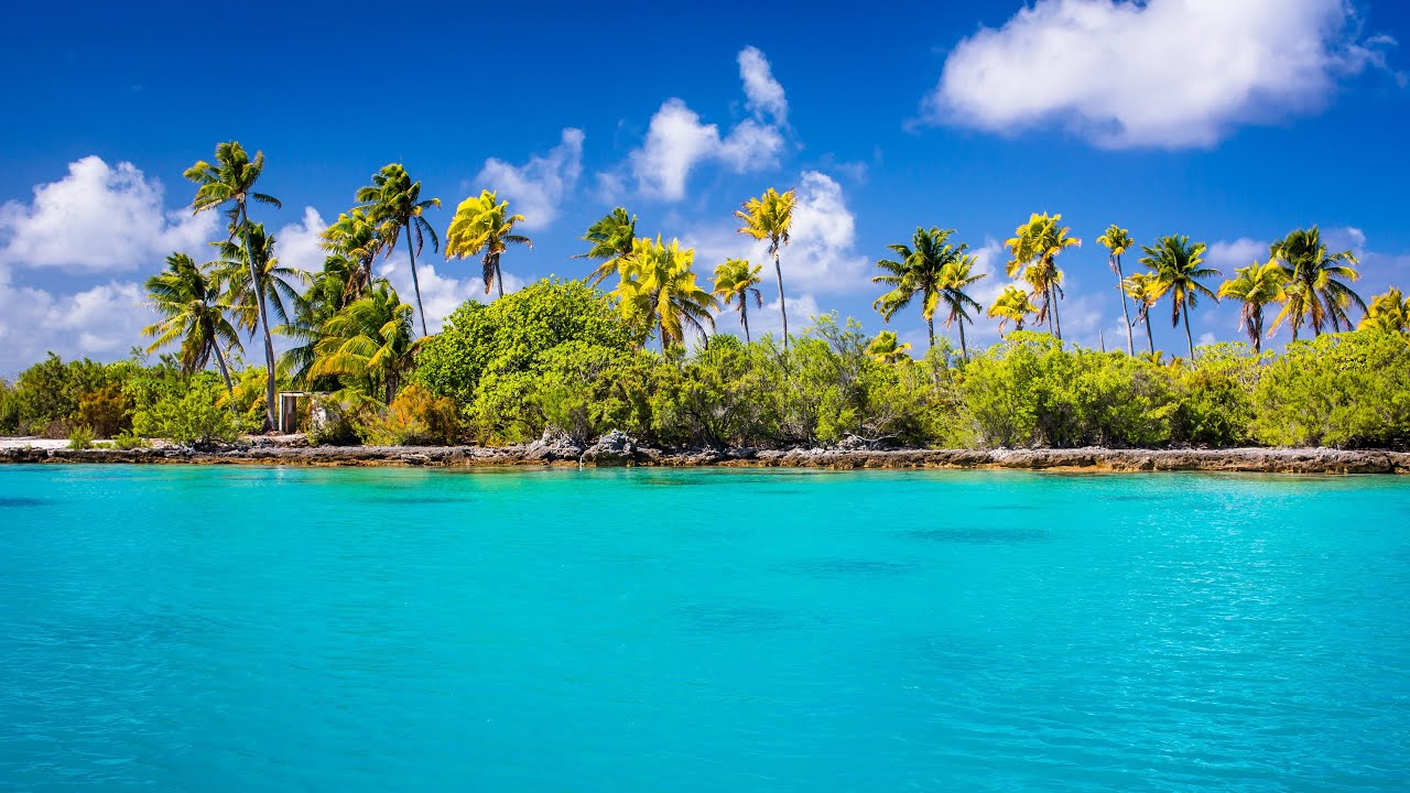 Relaxing music - Alegra /Música alegre/ 