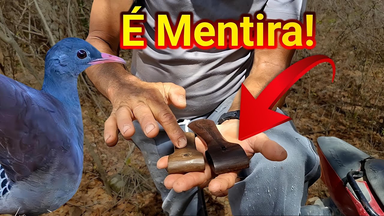 A VERDADE sobre a Lambu! VEM com 2 Pios?? 