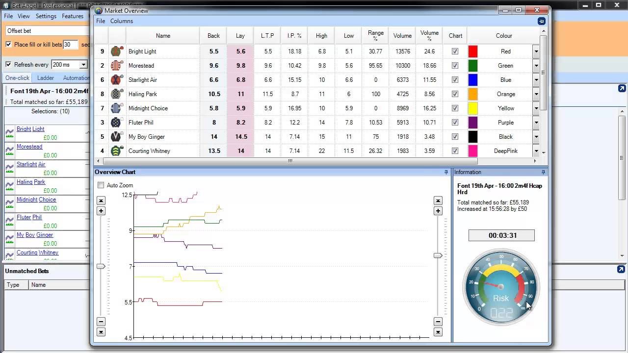 Betfair trading - Racing - Using the risk meter on Bet Angel