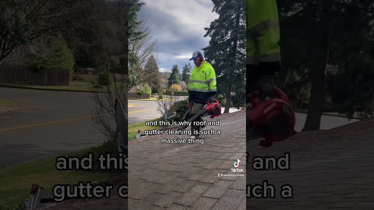 9k Tree Removal Cost | Seattle ProWash