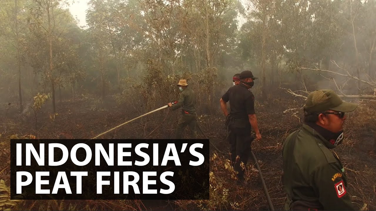 Indonesia’s Peat Fires | Get Real | CNA Insider