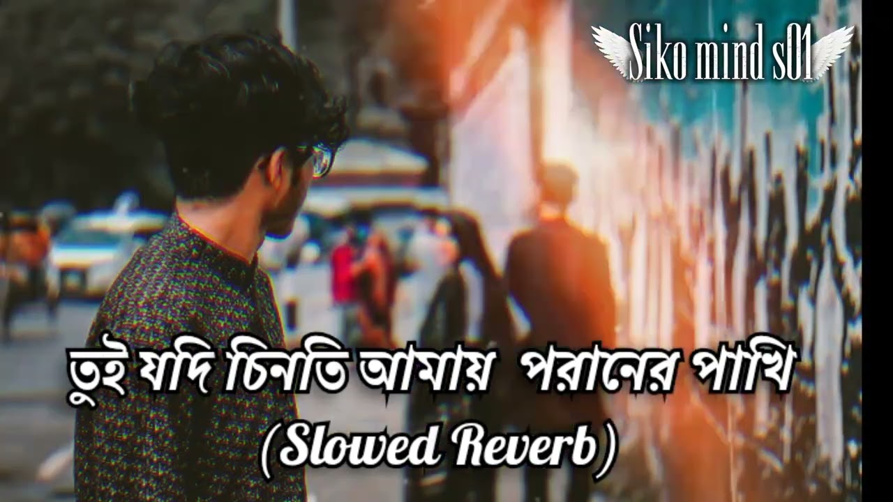 তুই যদি চিনতি আমায় (Slowed) 💔 | Emotional Bangla Song | ২০২৬ 