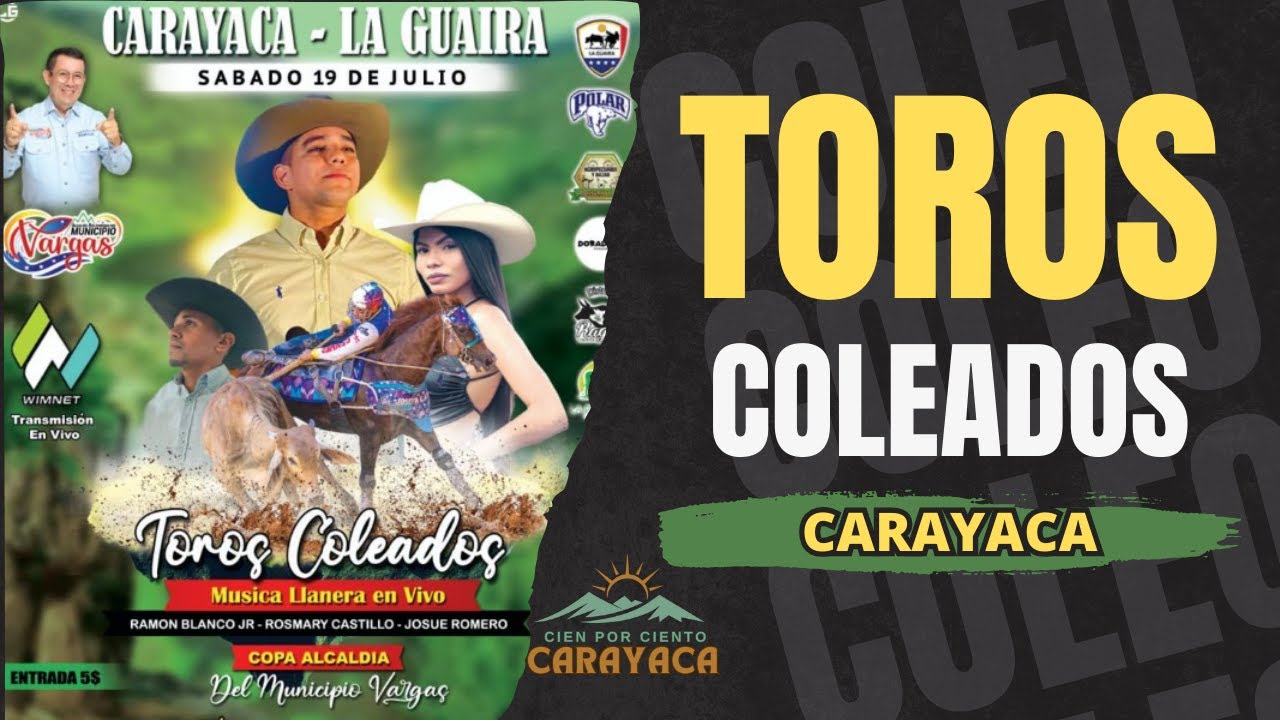 Toros coleados en CARAYACA ( 19-07-2025 )