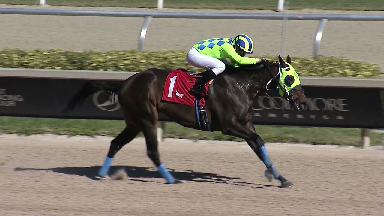 Gulfstream Park Replay Show | November 22, 2024