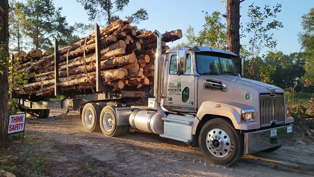 NFC CDL A Students = Employment With Logging Industry