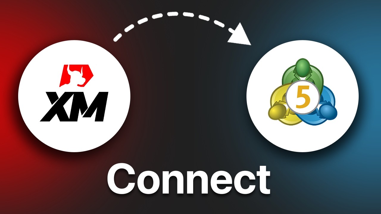 How To Connect XM To MetaTrader 5 (Full Integration)