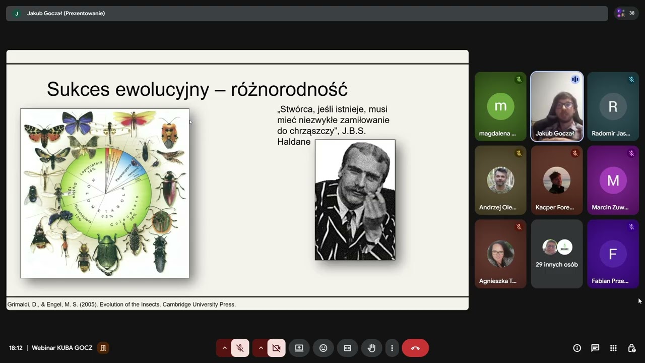 Chrząszcze: tajemnice najbardziej spektakularnej radiacji zwierząt w historii życia na Ziemi