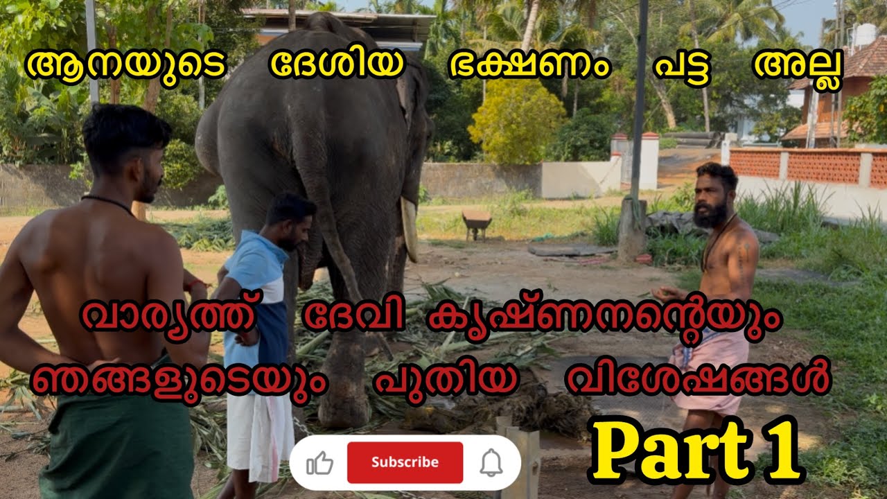 വാര്യത്ത്  ദേവി കൃഷ്ണനും, ഞങ്ങളുടെയും കുറച്ച്  വിശേഷങ്ങൾ🥰/Malayalam Elephant video/ #aana #elephant 