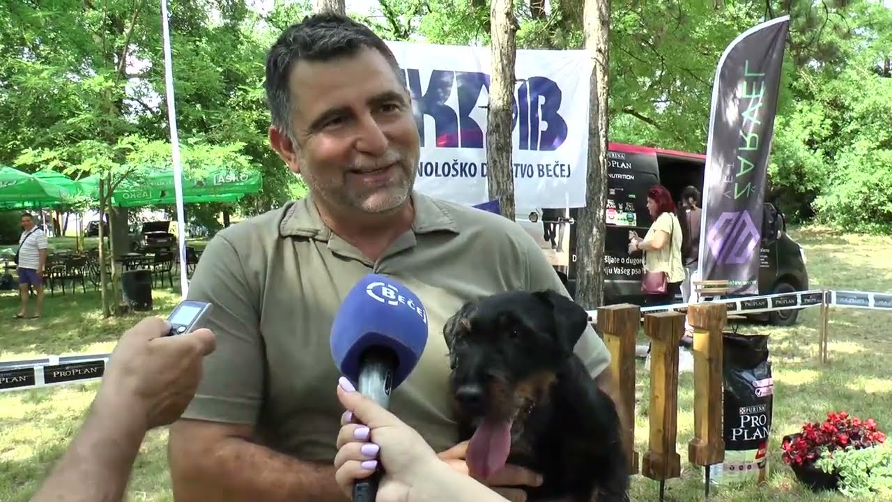 TV BEČEJ: Nemački lovni terijer iz Vršca najlepši pas CACIB Bečej