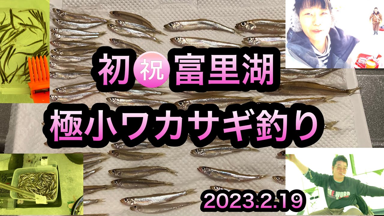 初㊗️富里湖　極小ワカサギ釣り#富里湖#わかさぎ釣り