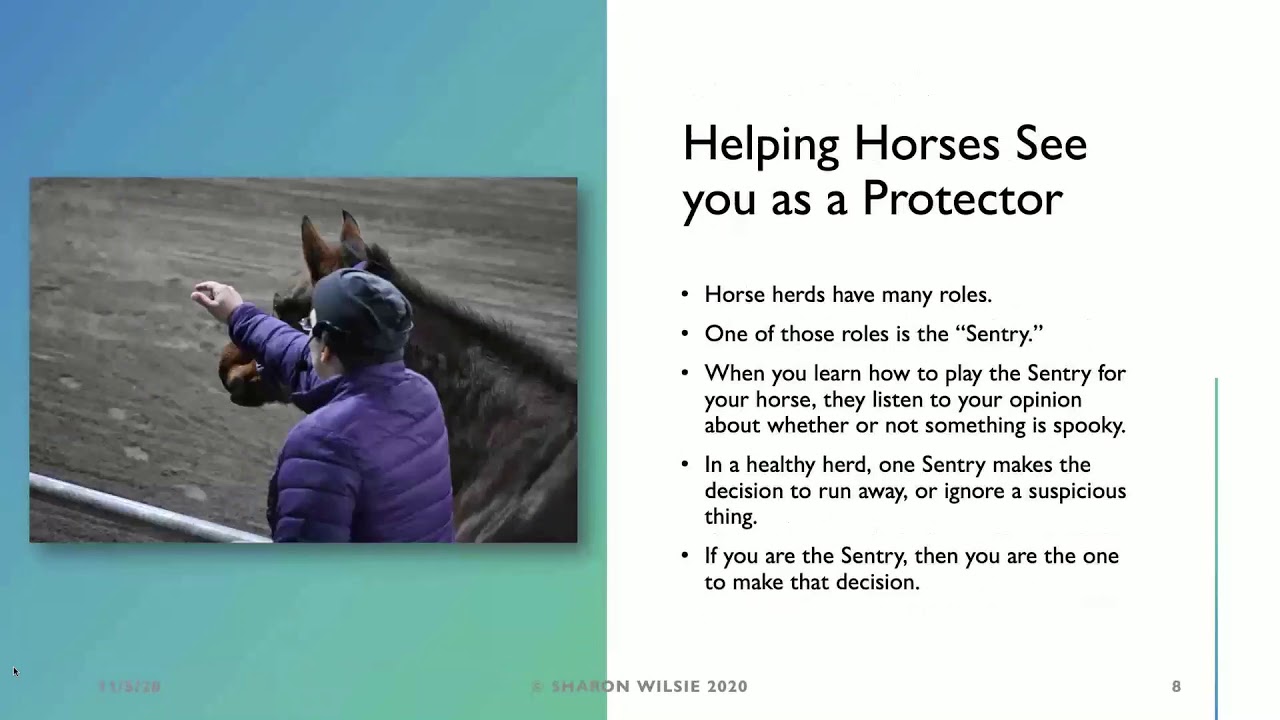 NYSHC 2020 AGM: What is My Horse Trying to Tell Me?