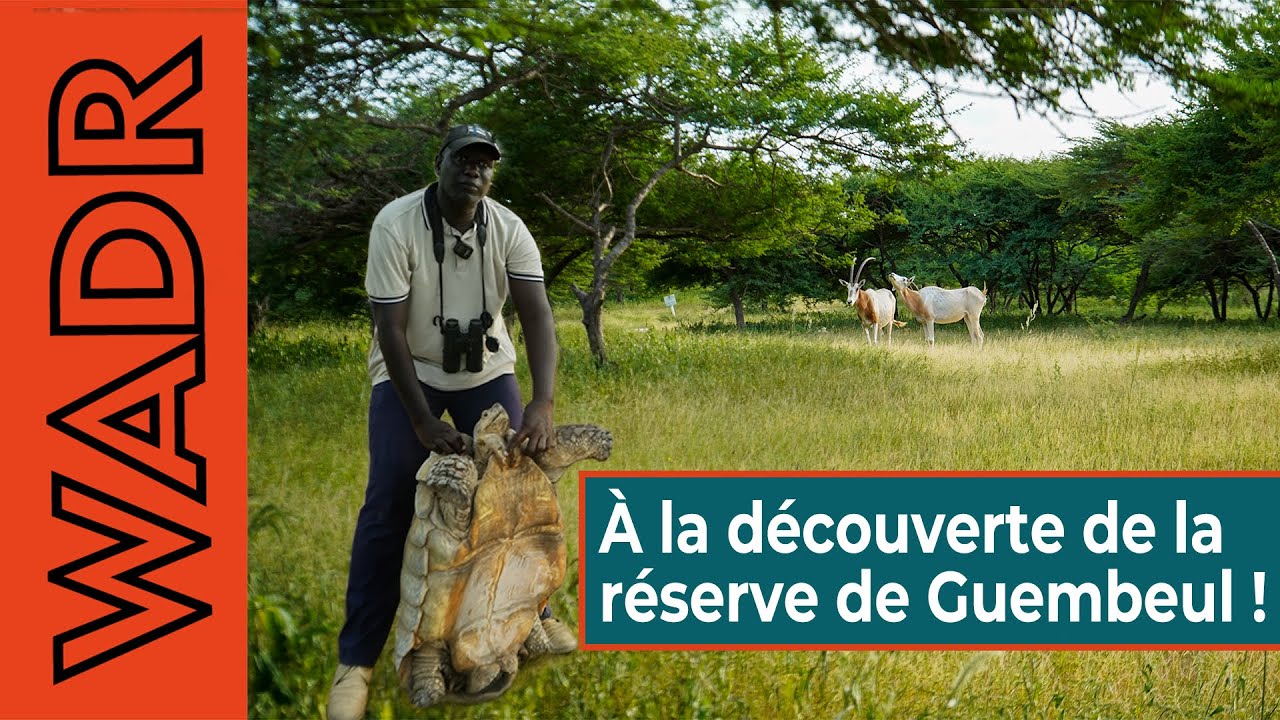 À la découverte de la réserve de Guembeul !