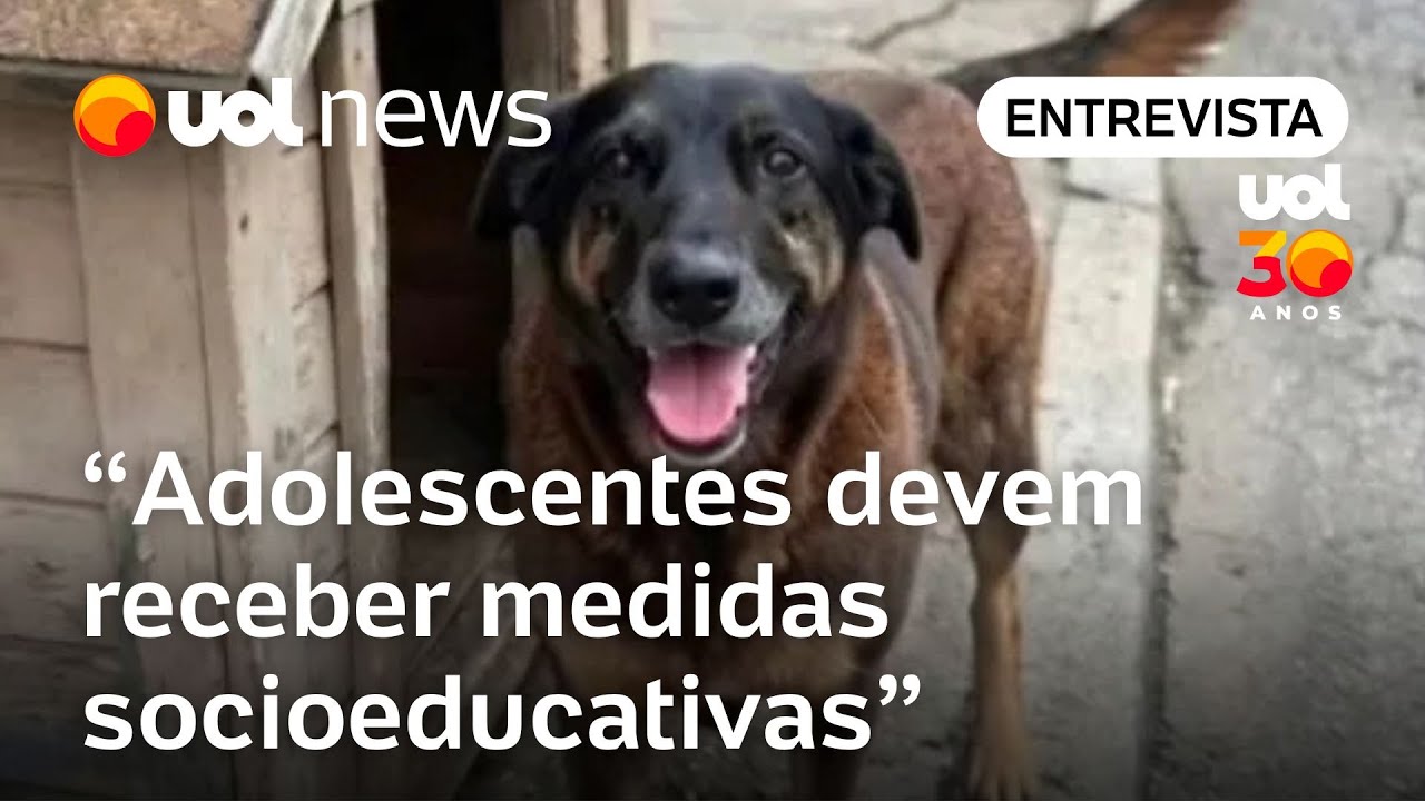 Caso do cão Orelha: Jovens podem receber medidas socioeducativas, diz delegado