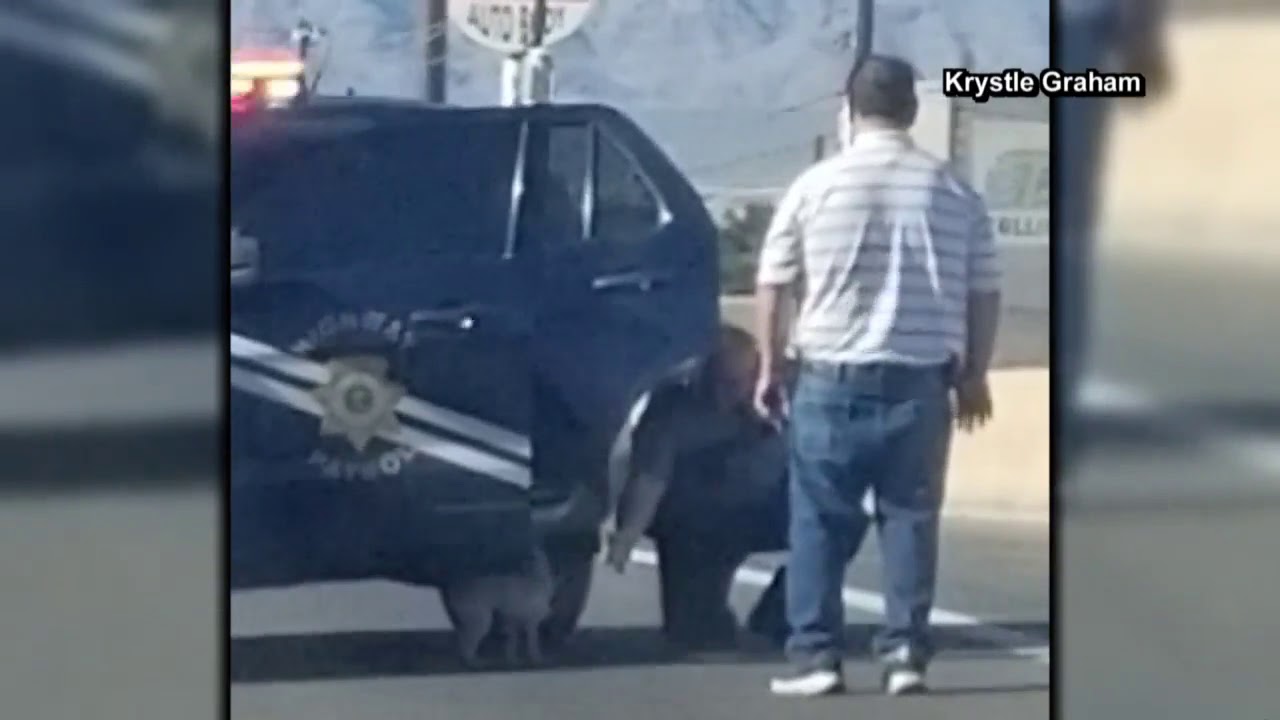 Rush Hour Rescue: NHP Trooper saves dog running on I-15 freeway