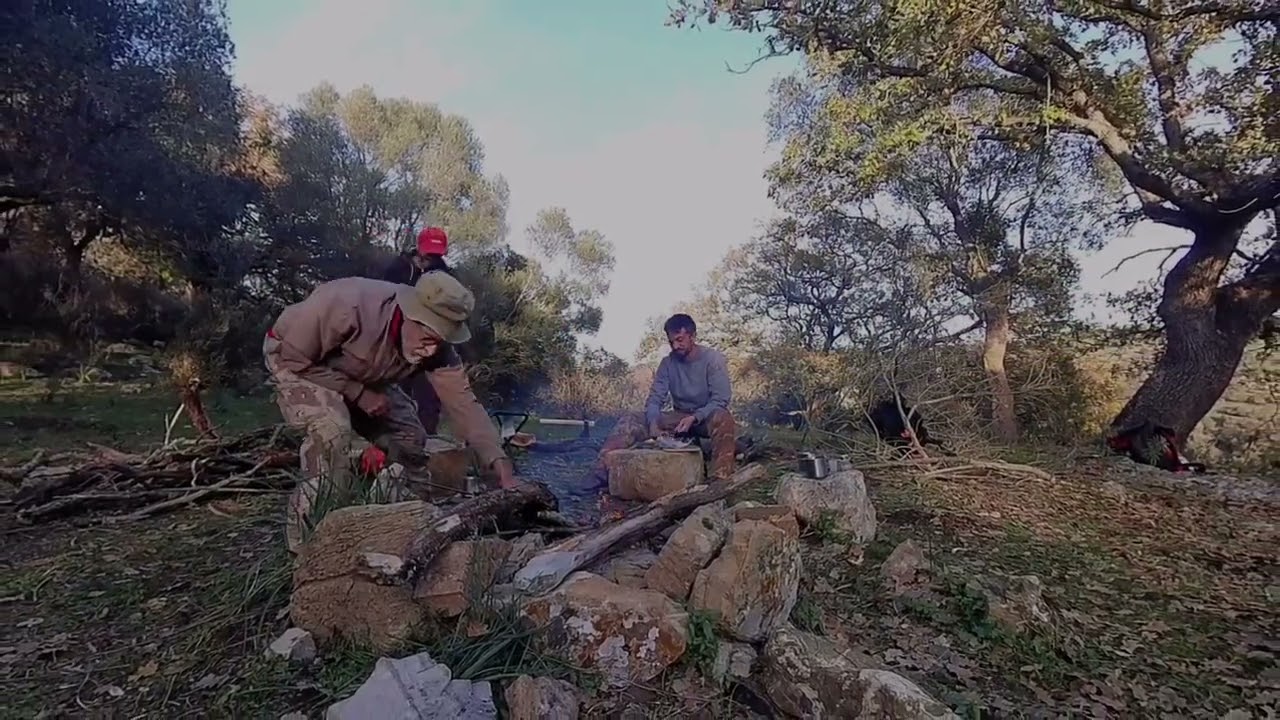 Bushcraft 2 - Eggs, Lamb & Chestnuts 