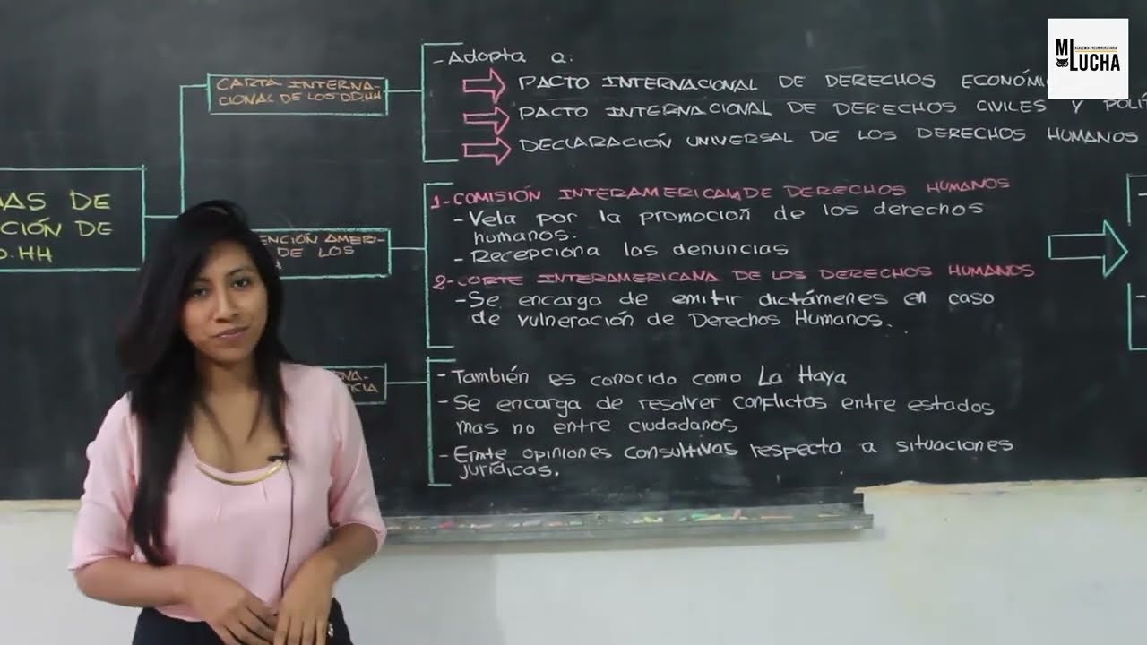 SISTEMAS PROTECCIÓN DD.HH. - EDUCACIÓN CÍVICA