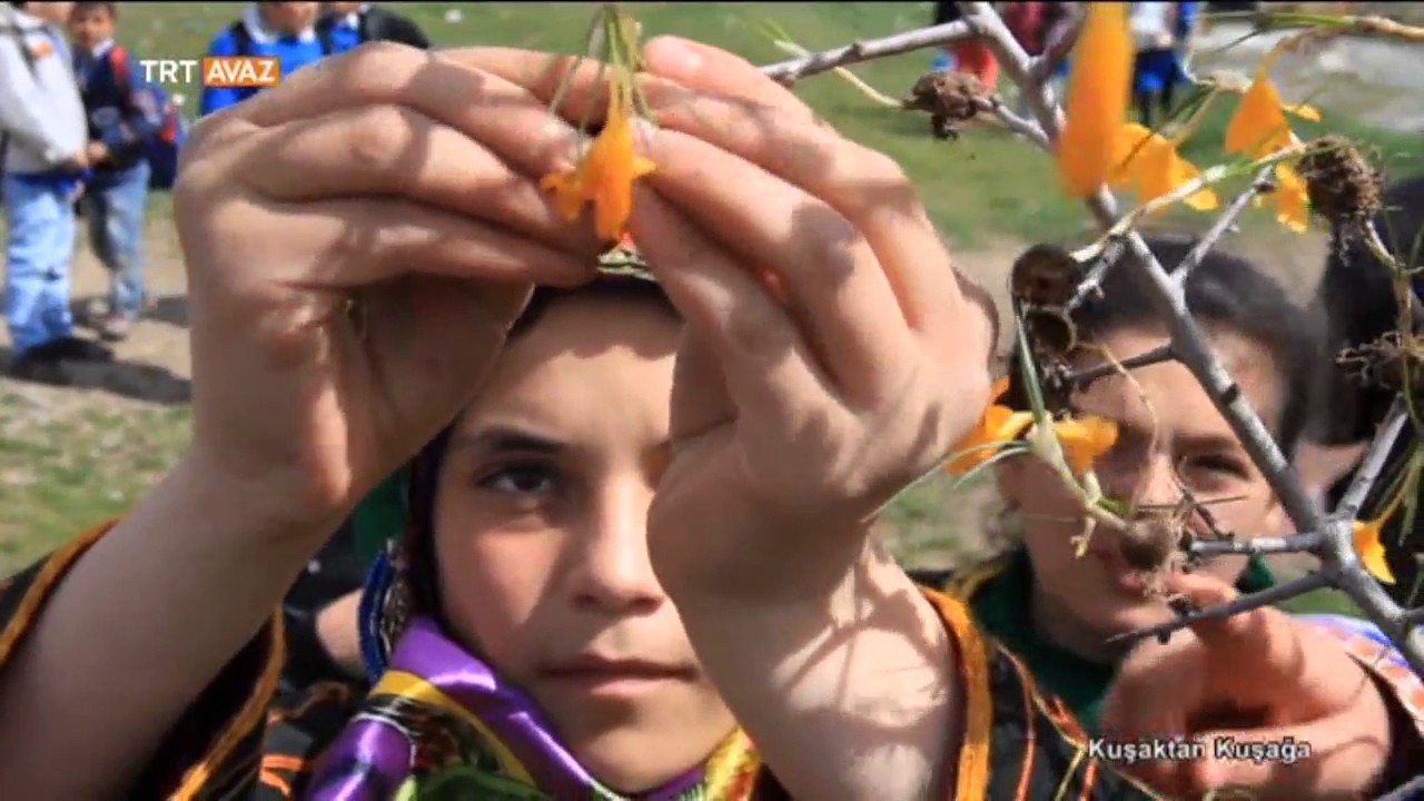 Çiğdem Aşı Geleneği Nedir? - Ankara - Kuşaktan Kuşağa - TRT Avaz