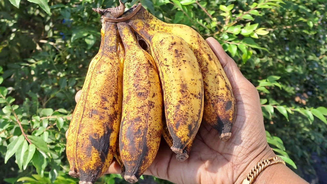 ചെറുപഴം ഉണ്ടോ 👌 പാത്രം കാലിയാക്കുന്ന വഴിയറിയില്ല | Banana | Bismi Kitchen | Snack Recipe