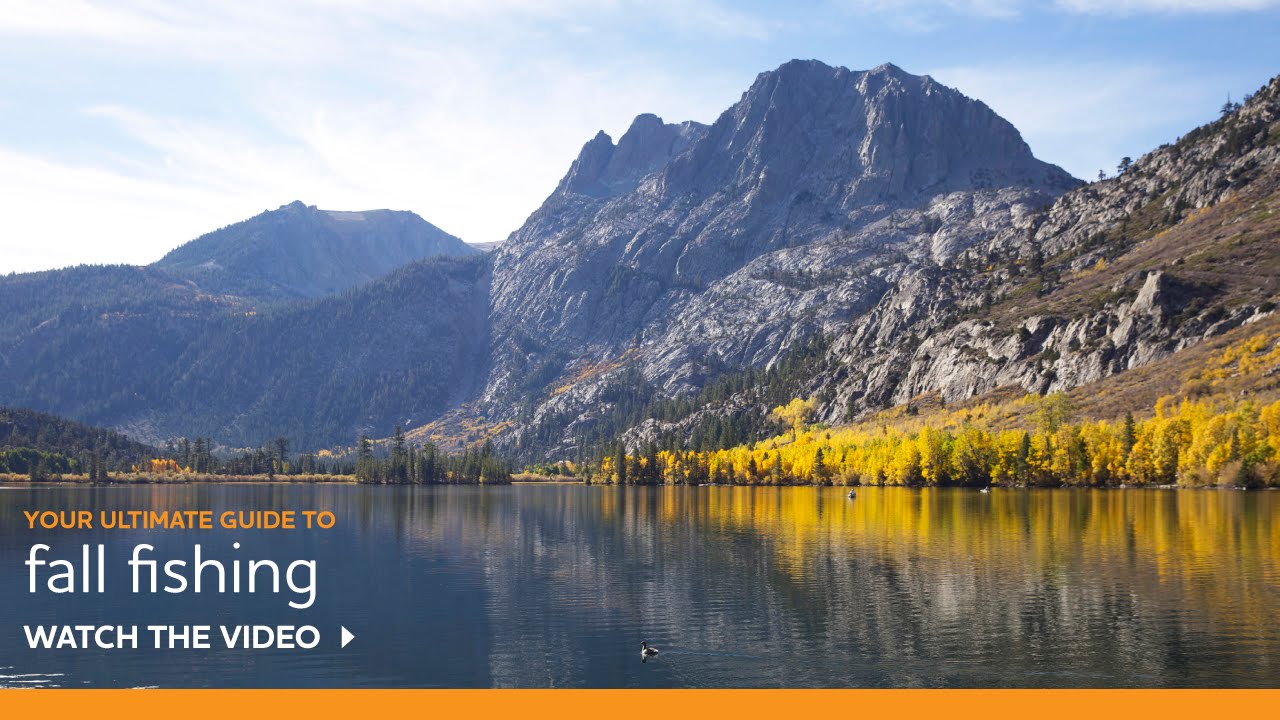 Fall Fishing Tips by Professional Guide Doug Rodricks