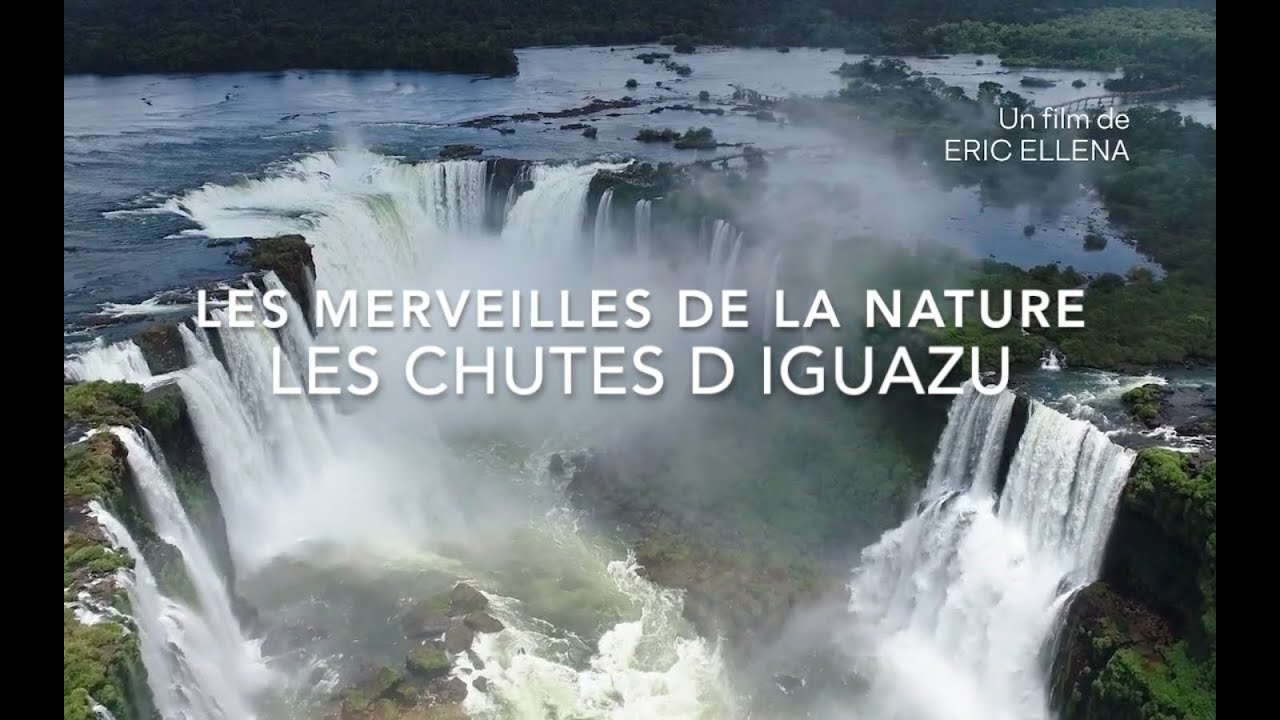 LES CHUTES D IGUAZU, tr&eacute;sor de biodiversit&eacute;.
