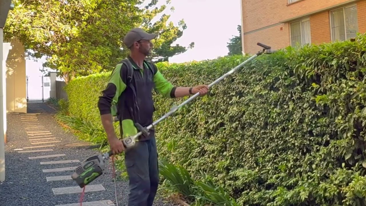 Watch how the pros hedge. 16m long by 1.5m high by 1m wide done in 9min 43sec