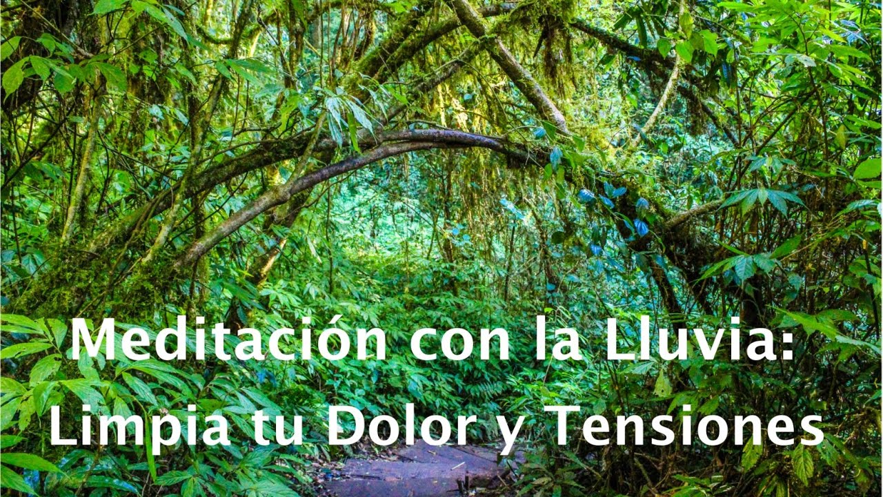 DÉJATE GUIAR A TRAVÉS DE LA LLUVIA. MEDITACIÓN PARA LIMPIARTE/RAINY MEDITATION TO RELEASE PAIN
