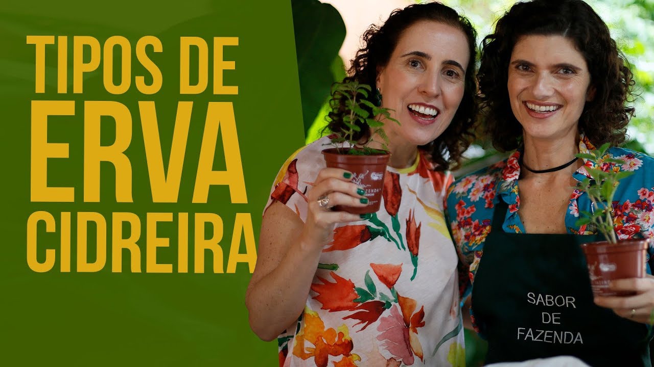 Tipos de Erva Cidreira - Benefícios e Dicas (Participação Sabrina Jeha) | Nô Figueiredo
