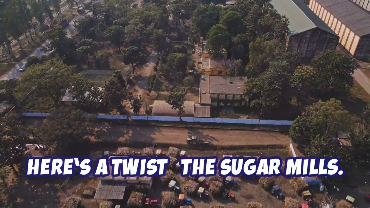 The Dark History  Sugar and Slavery