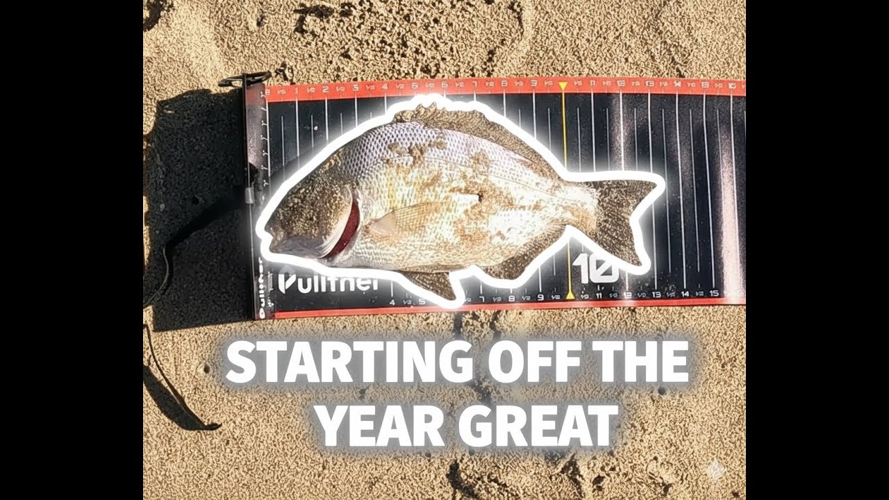 First few fish of 2026