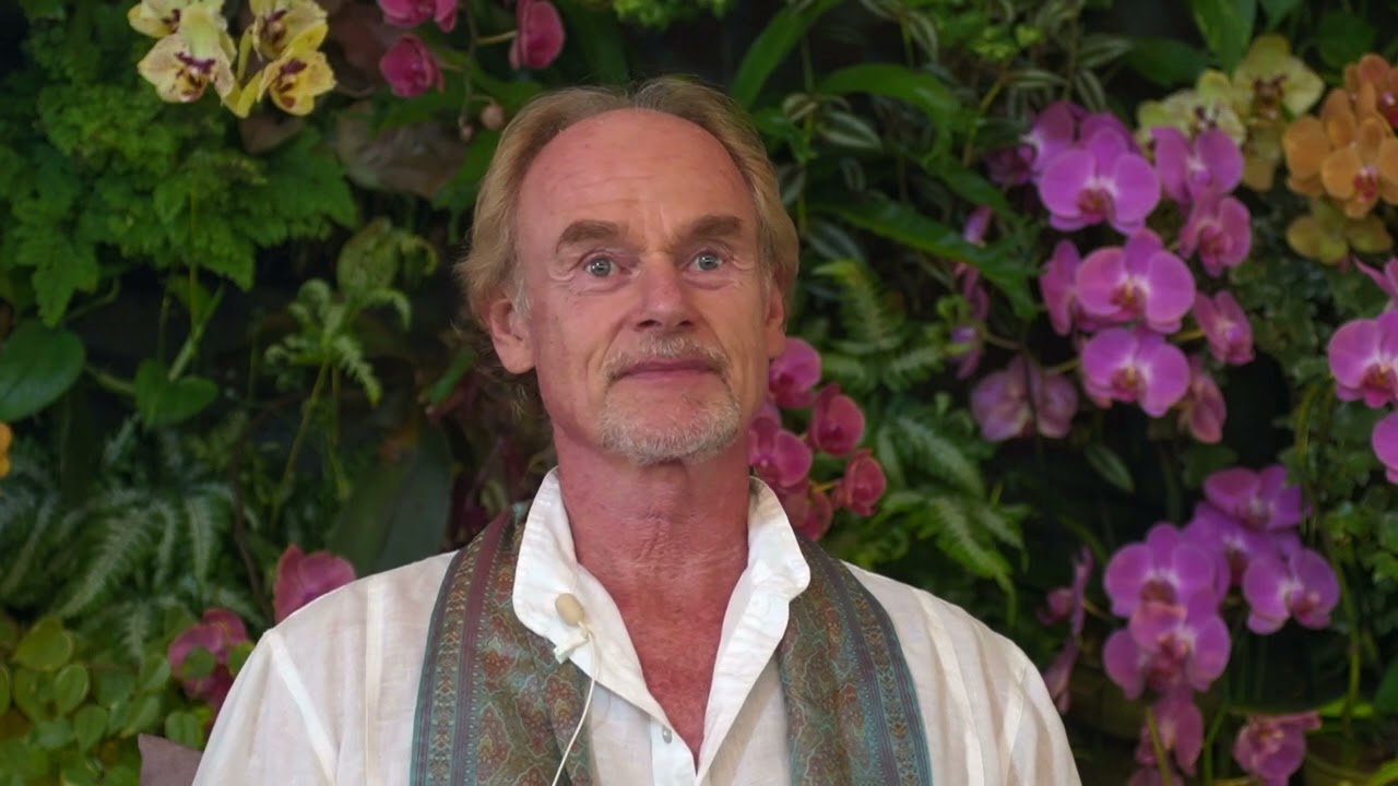Vertical Dimension - Satsang with Vasant Swaha