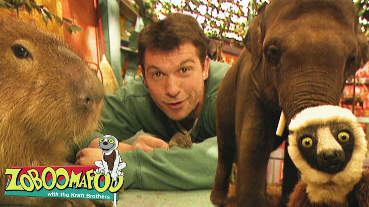 Meet the Giant Capybara and Other Huge Creatures! | Zoboomafoo - WildBrain | Learn about Animals!