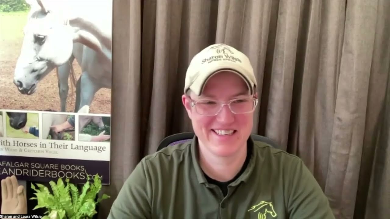 The Horse Speak® Book Club   February 10, 2026 - Horses in Translation by Sharon Wilsie