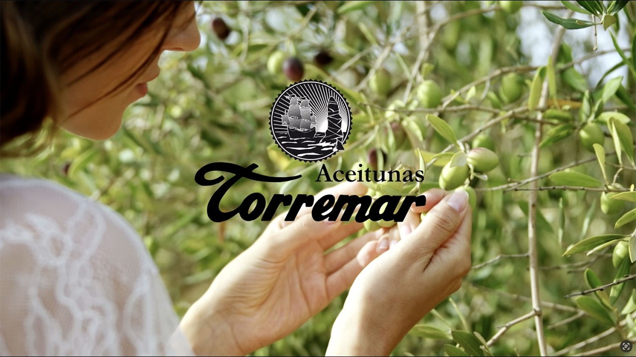 ACEITUNAS TORREMAR