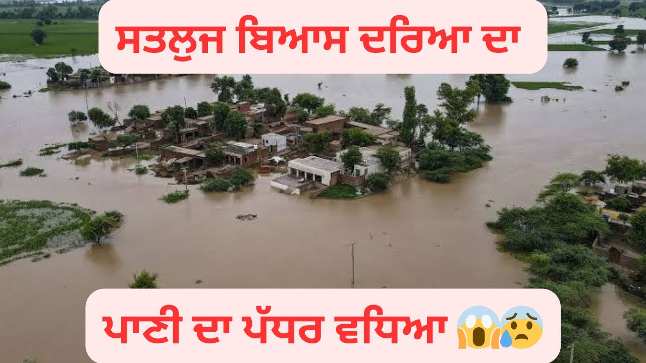 😱🙏😰ਸਤਲੁਜ ਬਿਆਸ ਦਰਿਆ/ ਪਾਣੀ ਦਾ ਪੱਧਰ ਵਧਿਆ/ Satluj Beas River Flood 2025/ #traveldays143 #travel #flood 