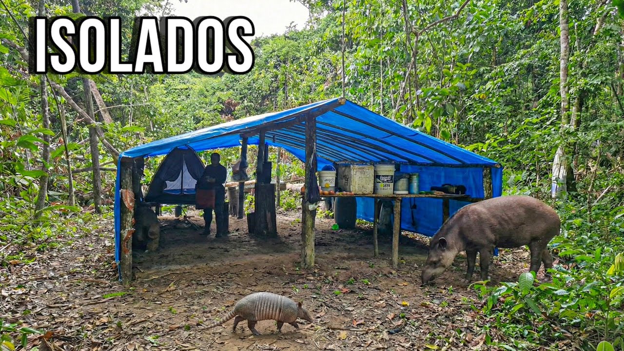 UM BARRACO ISOLADO NO MEIO DA SELVA AMAZÔNICA