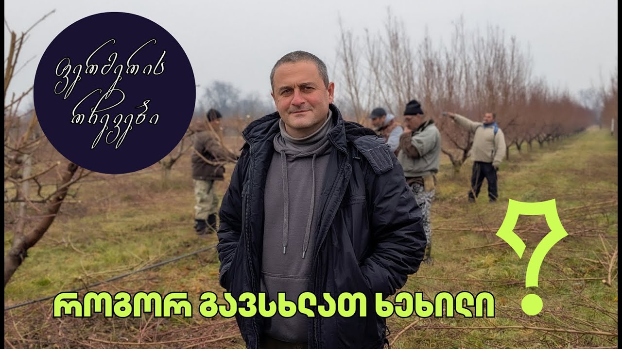 როდის და როგორ გავსხლათ ხეხილი | პოდკასტი მებაღეებისთვის