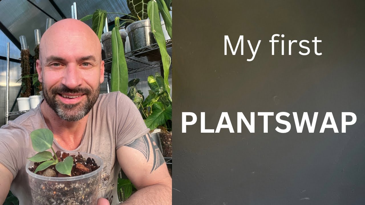 My first EVER plant swap event!