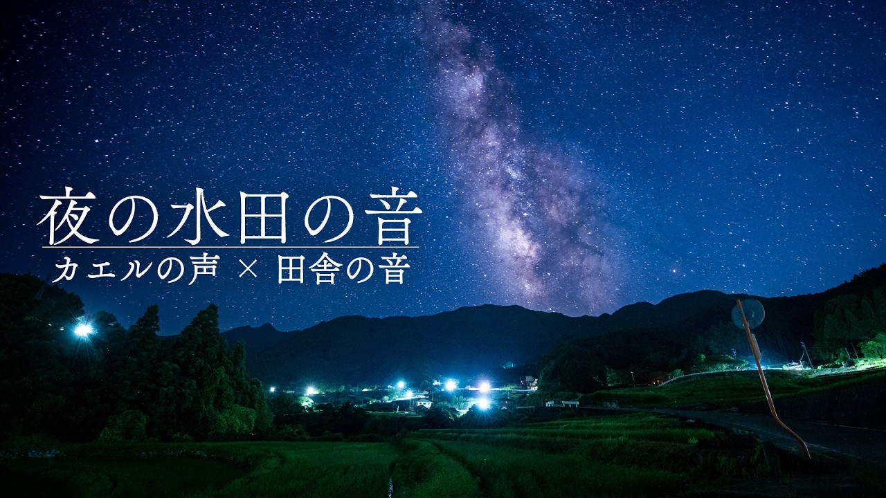 【安眠用BGM】夜の水田の音