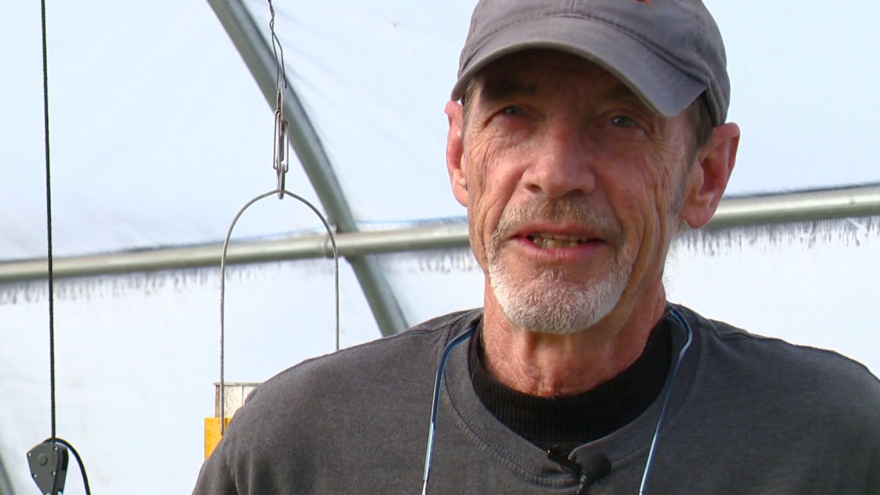 KTVB Serious Feature OREGON POT FARM