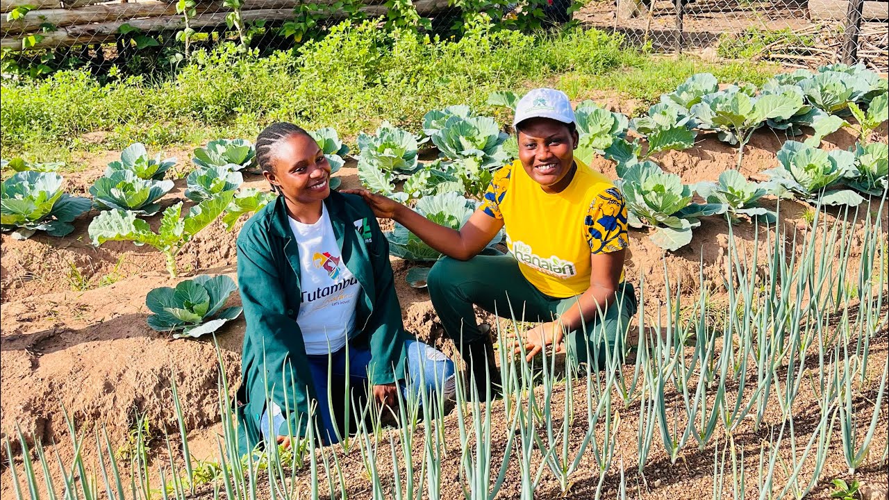 How She Turned 4 Acres Farmland Into Multi Million Mixed Farming Projects In Uganda 🇺🇬 |