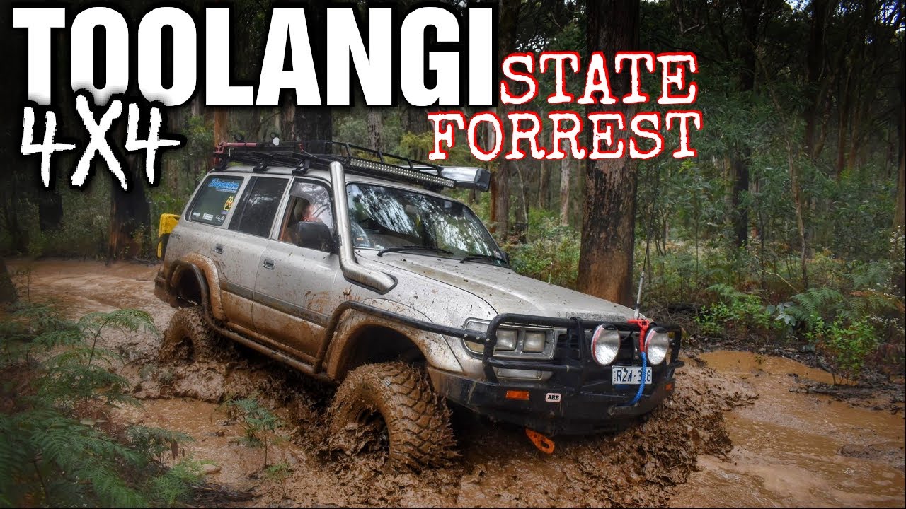 Toolangi State Forrest 4wd AKA Muddiest Place On Earth! #tracksessions
