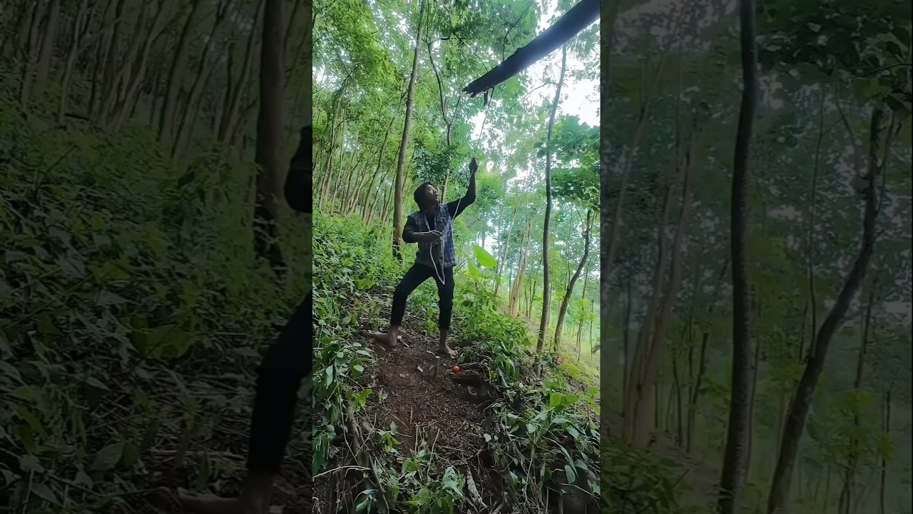 trapping squirrels🐿️#bushcraft #outdoors #trap #survival