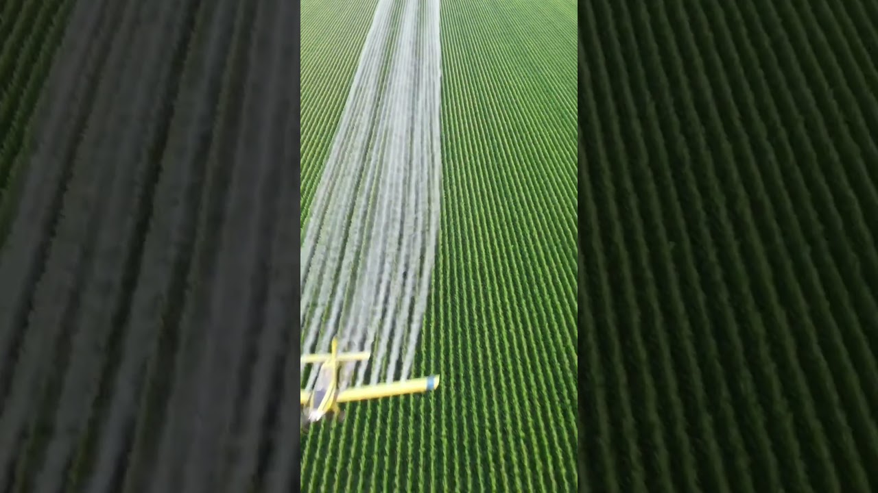 spring by plane 