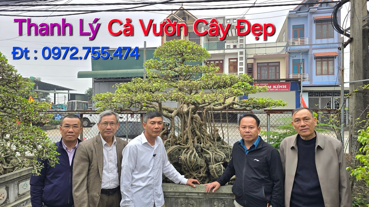 Tin Mới ! THANH LÝ CẢ VƯỜN CÂY RẤT ĐẸP chơi 34 năm NV KIỂN CHI - Lương Tài - BN - đt : 0372.755.474 