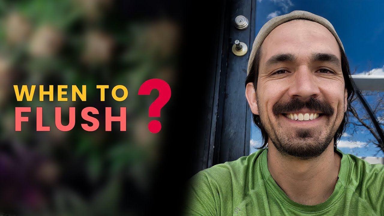 Когда самое подходящее время для промывки?