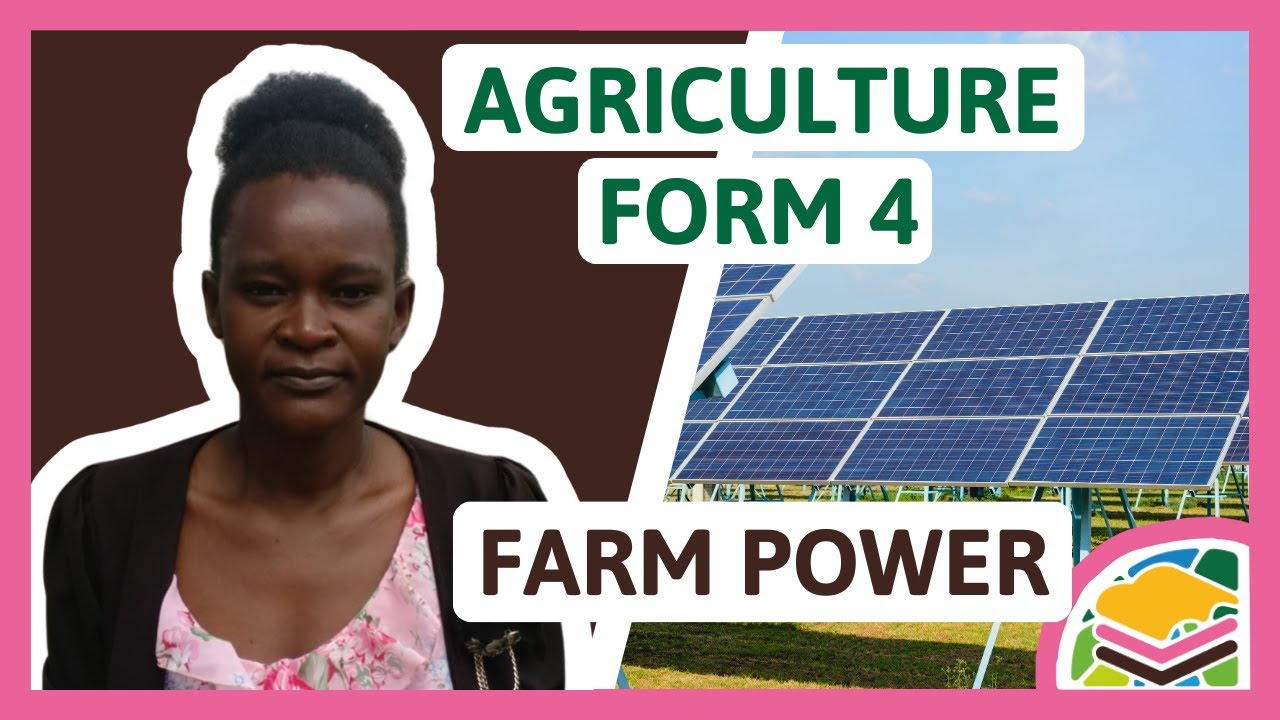 Farm Power | F4 Agriculture (Lesson 1/3)