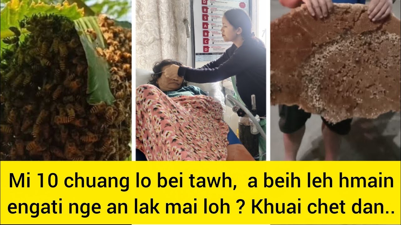 Khuai-in mihring a bei leh chiam! Khawtlangin a bu an hal/an la ta hmiah mai le.. Reports
