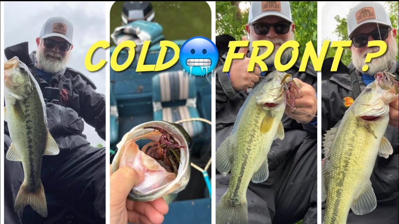 How to catch bass in a post front / 🥶 cold front conditions ?