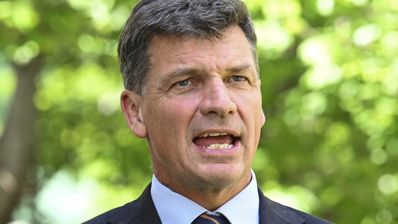 Government's 'spin' wearing thin: Taylor calls out Chalmers on economic blame game