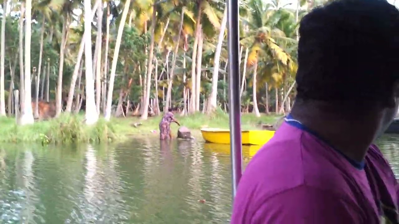 Serene Boat Ride through Kerala Backwaters | Tropical Nature Escape